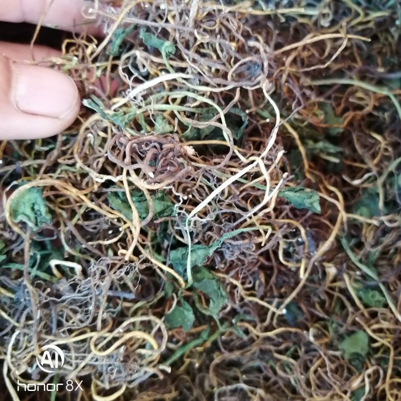 一支箭干货，一手货源，长期供货