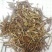 夏枯球，大量现货，产地直销干度好颜色漂亮