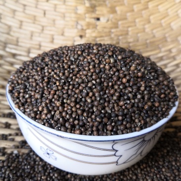 黄荆子布荆子牡荆子布惊籽