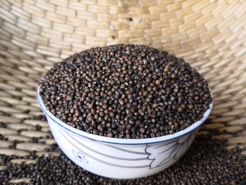 黄荆子布荆子牡荆子布惊籽