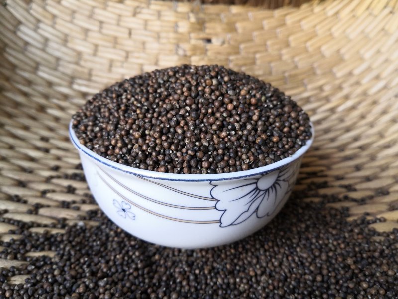 黄荆子布荆子牡荆子布惊籽