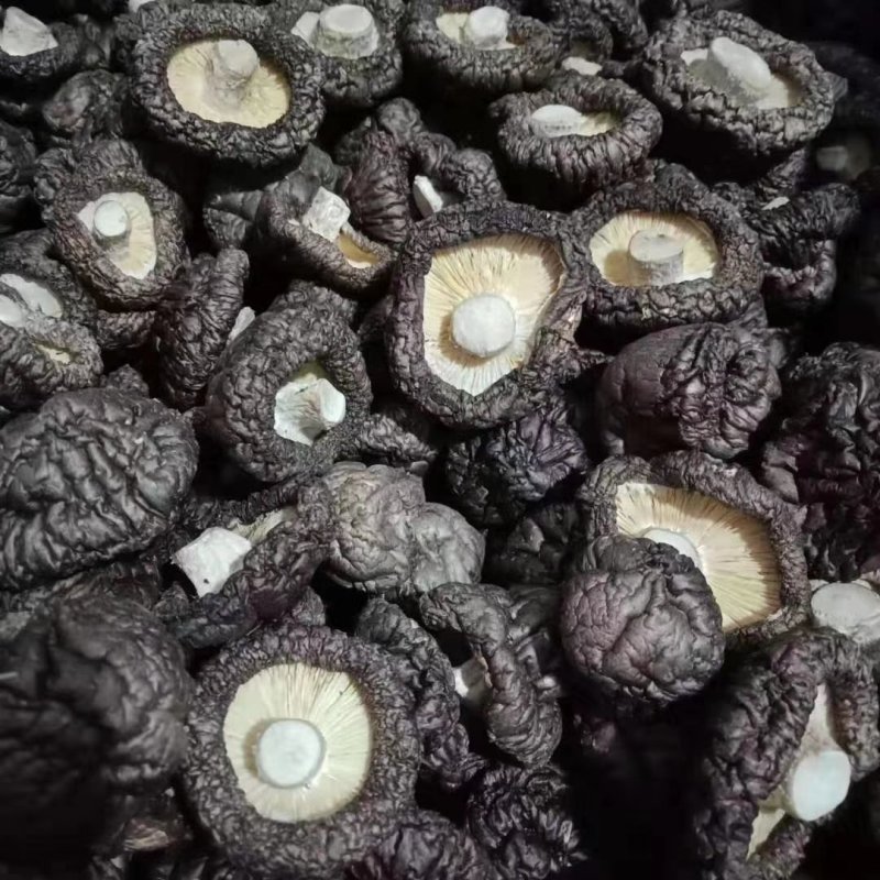 福建安溪香菇干货精选菇