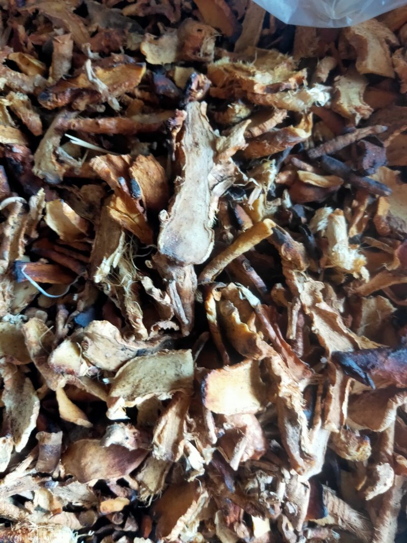 之母炒知母盐之母量大优惠