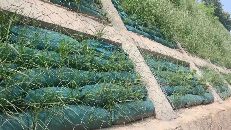 护坡生态袋草籽植草袋***********