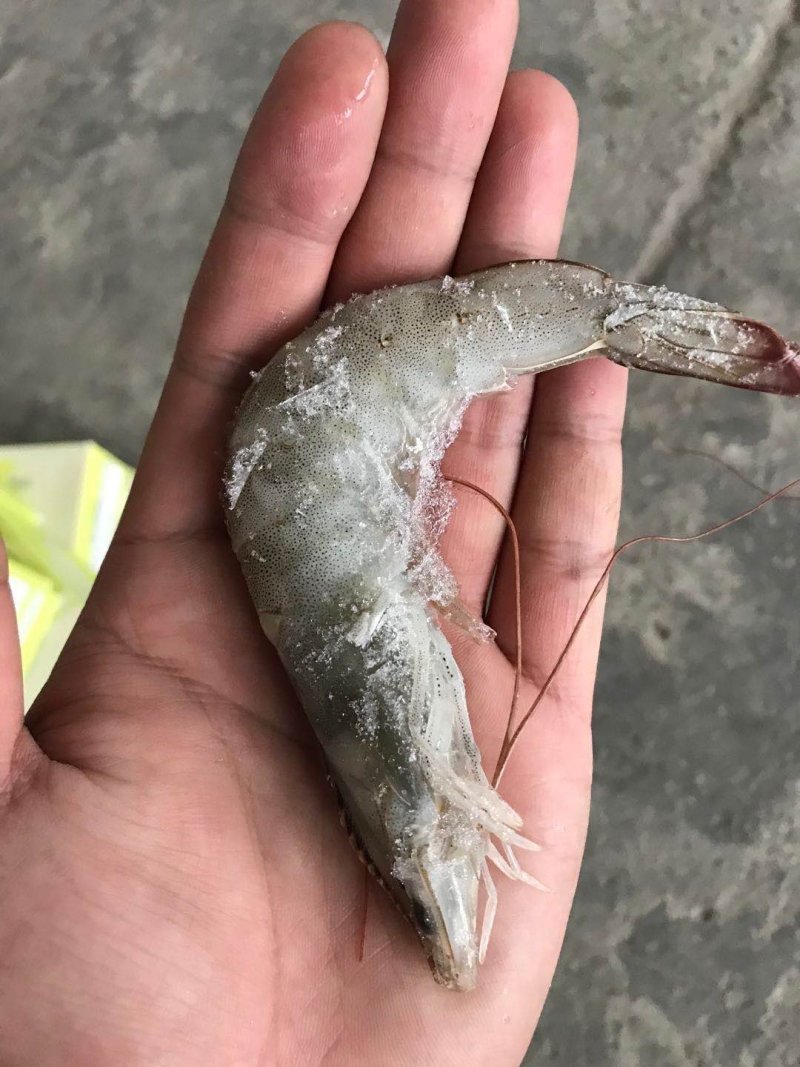 工厂直贸一手货源