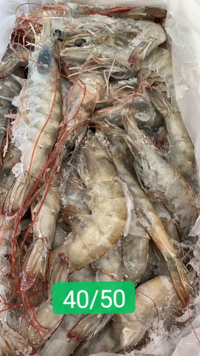 工厂直贸一手货源