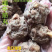 老子号肉丸店，六种口味，天天现做现卖，真空包装。