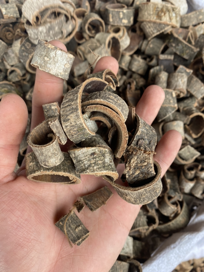 厚扑四川厚扑批发各种中药材质量太好