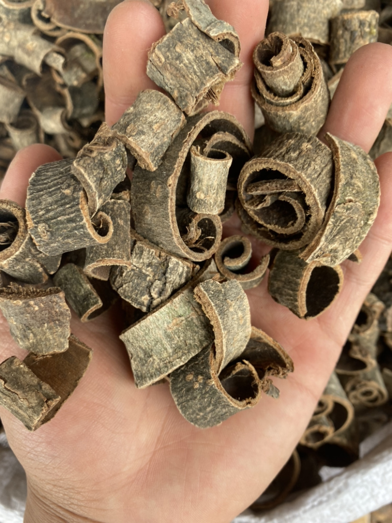 厚扑四川厚扑批发各种中药材质量太好