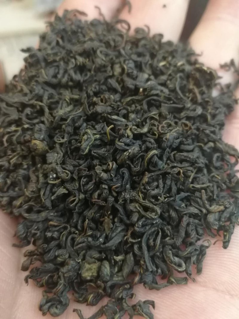 辣木茶辣木叶茶辣木红茶辣木绿茶产地货