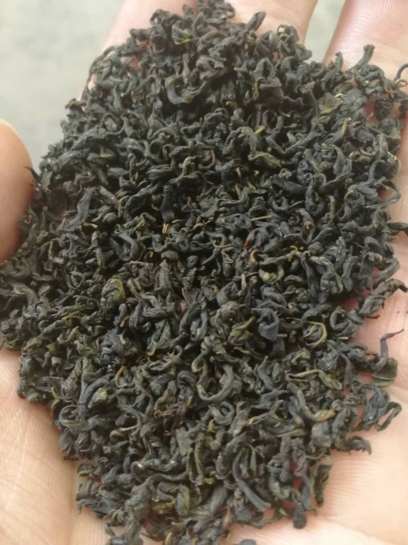 辣木茶辣木叶茶辣木红茶辣木绿茶产地货