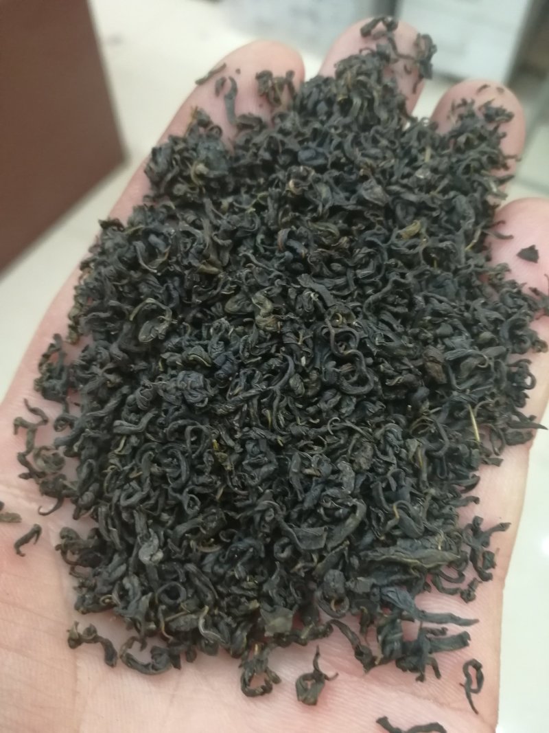 辣木茶辣木叶茶辣木红茶辣木绿茶产地货