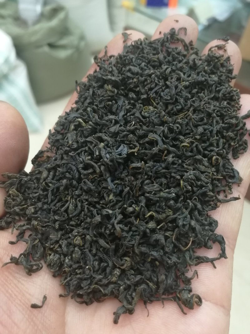 辣木茶辣木叶茶辣木红茶辣木绿茶产地货