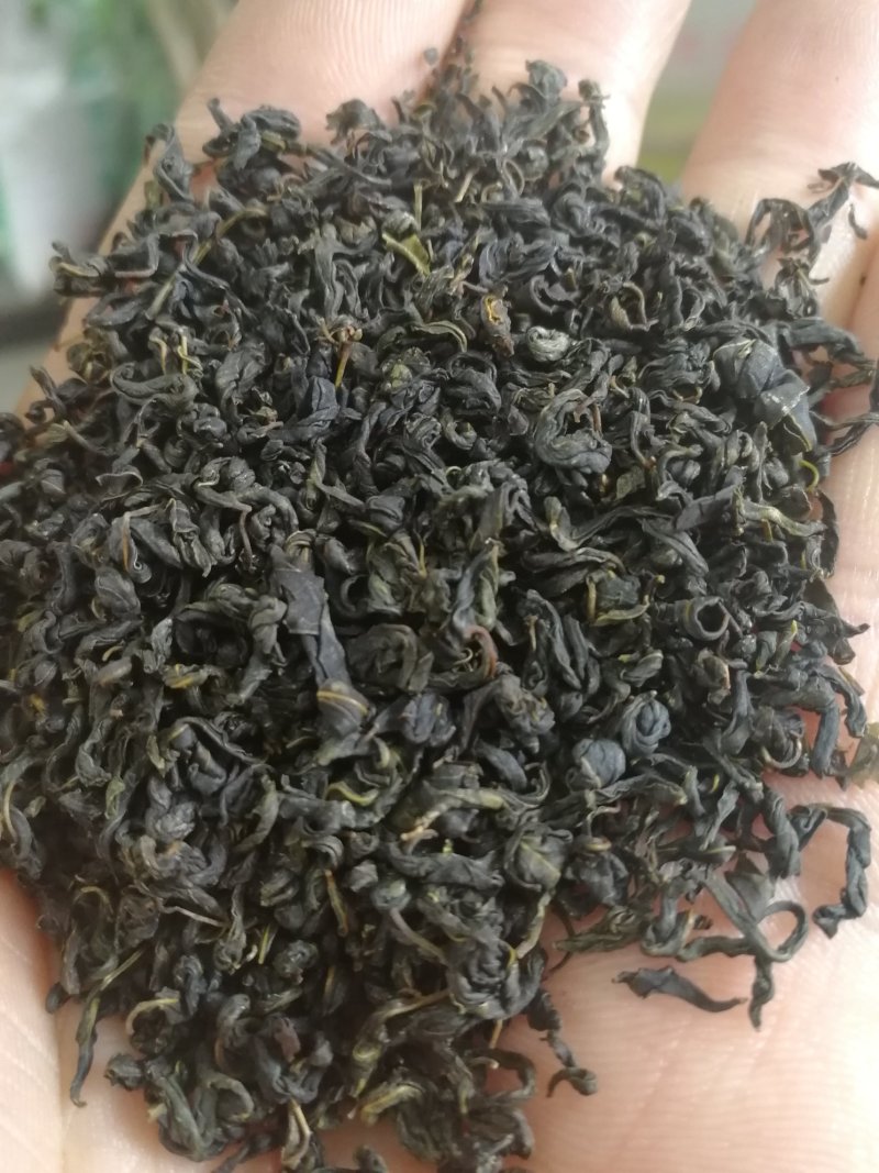 辣木茶辣木叶茶辣木红茶辣木绿茶产地货