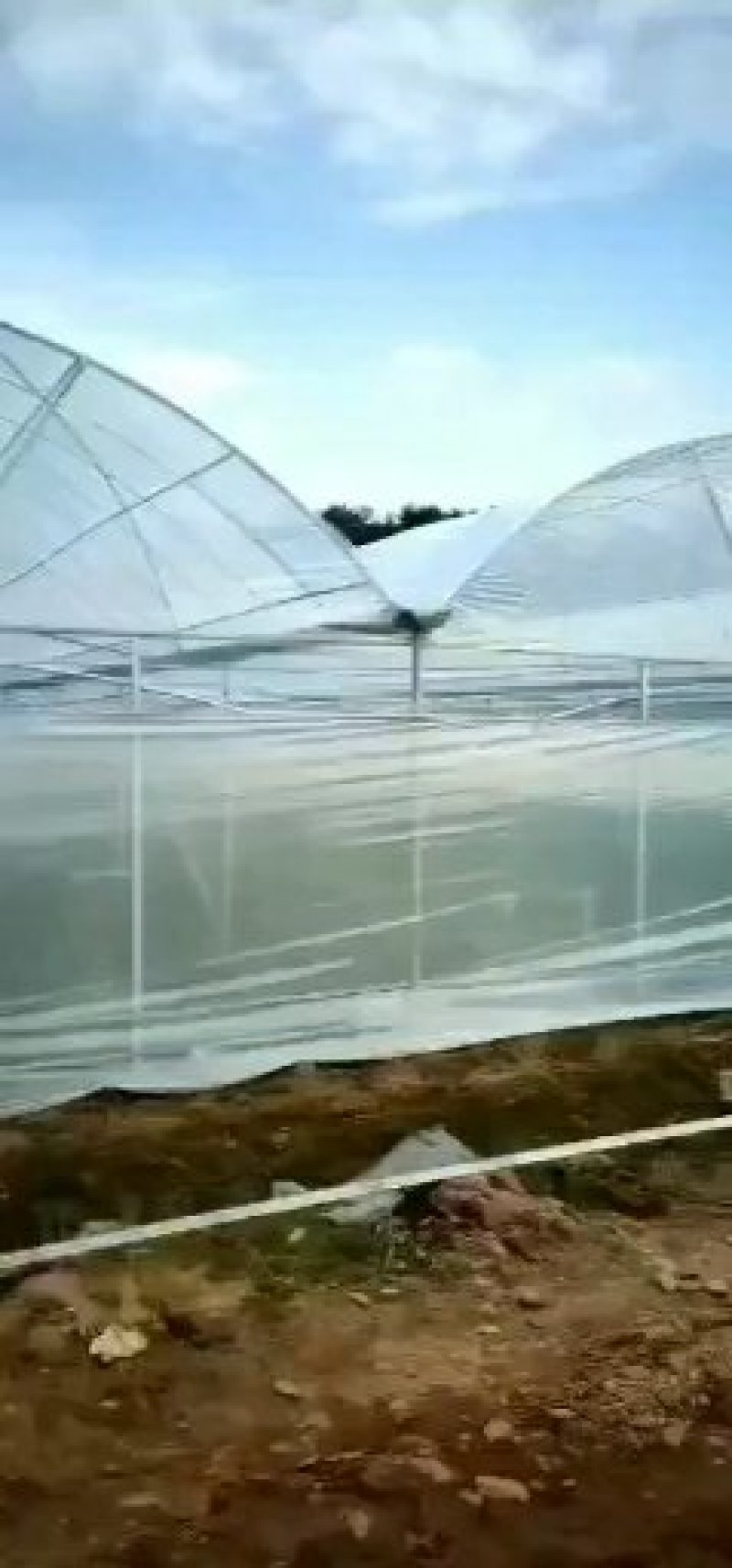 厂家直销，连体大棚，外遮阳，方便实用价格实惠，量大送货！