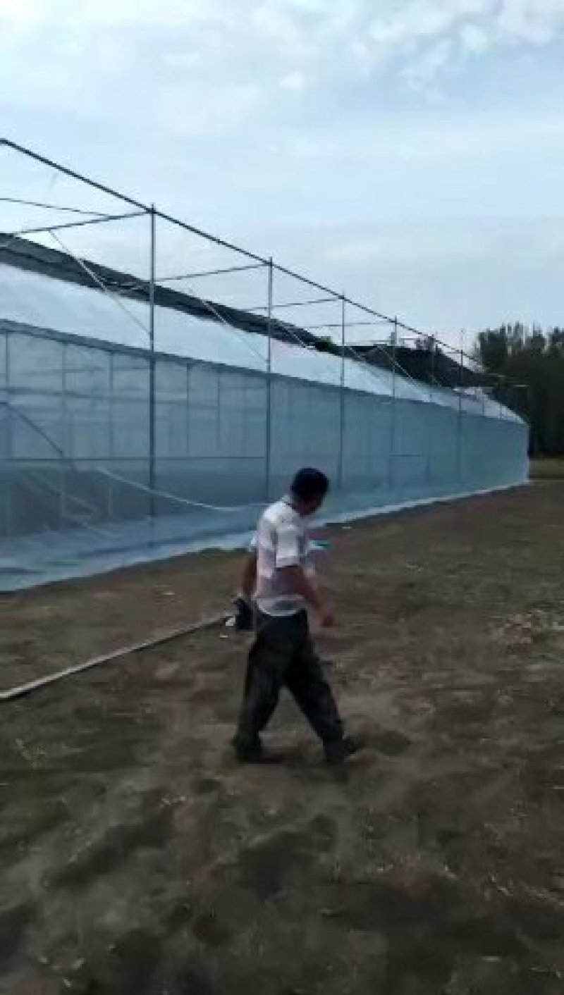 厂家直销，连体大棚，外遮阳，方便实用价格实惠，量大送货！