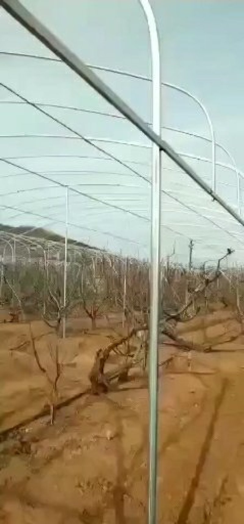 厂家直销，连体大棚，外遮阳，方便实用价格实惠，量大送货！