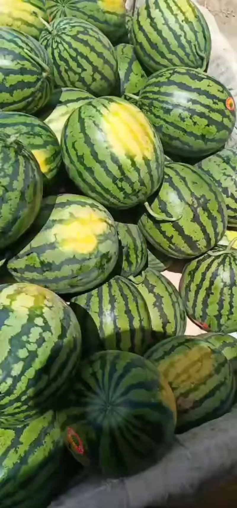 甜王西瓜