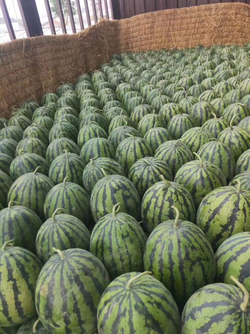 甜王西瓜