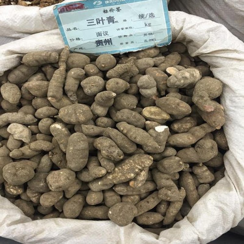 三叶青，常年批发供应冷背中药材三叶青，量大从优