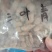三叶青，常年批发供应冷背中药材三叶青，量大从优