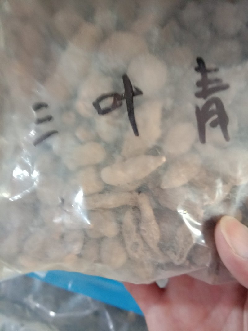 三叶青，常年批发供应冷背中药材三叶青，量大从优