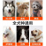 狗粮双拼通用10斤40斤100斤