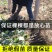 蓝宝石葡萄苗南方北方种植盆栽地栽当年结果嫁接甜蜜葡萄树