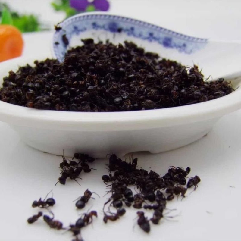 泡酒黑蚂蚁，打粉级别的干度不满意可以退换货