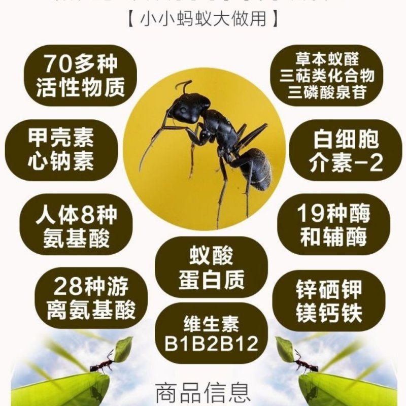 泡酒黑蚂蚁，打粉级别的干度不满意可以退换货