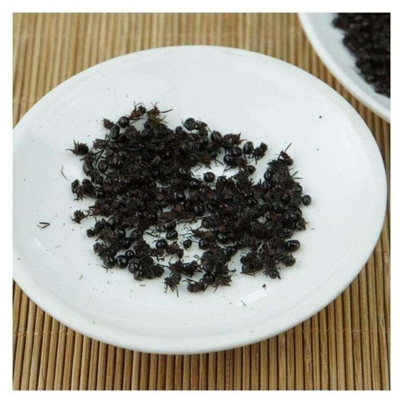 泡酒黑蚂蚁，打粉级别的干度不满意可以退换货