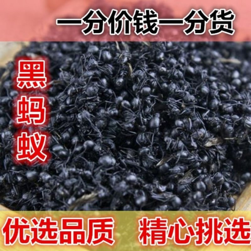 泡酒黑蚂蚁，打粉级别的干度不满意可以退换货