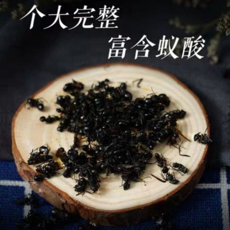 泡酒黑蚂蚁，打粉级别的干度不满意可以退换货