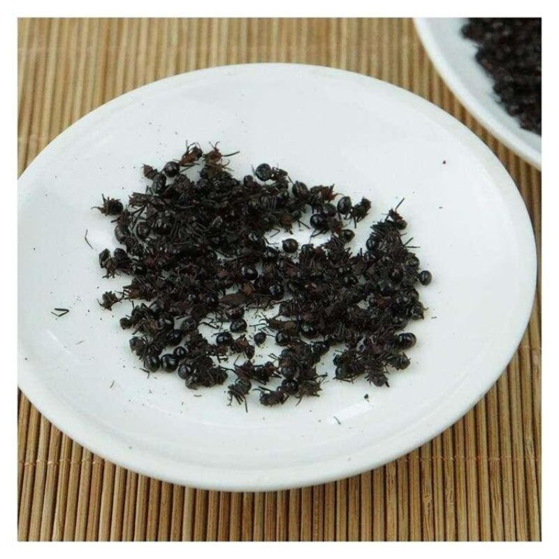 泡酒用黑蚂蚁纯干货野货品退换无忧欢迎下单售后无忧