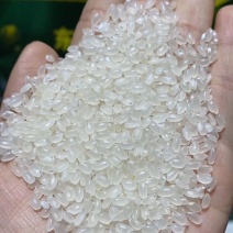 苏北大米，珍珠米，长粒米，口感佳，质量自己看