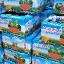 8424无籽西瓜