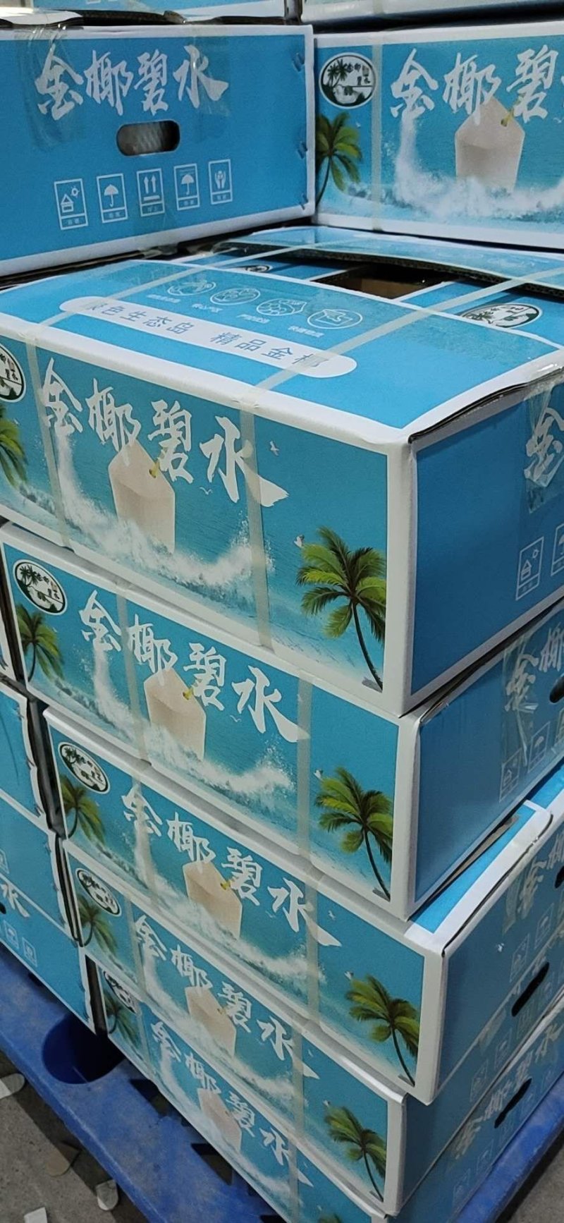 海南特产椰青批发产地直销现厂加工