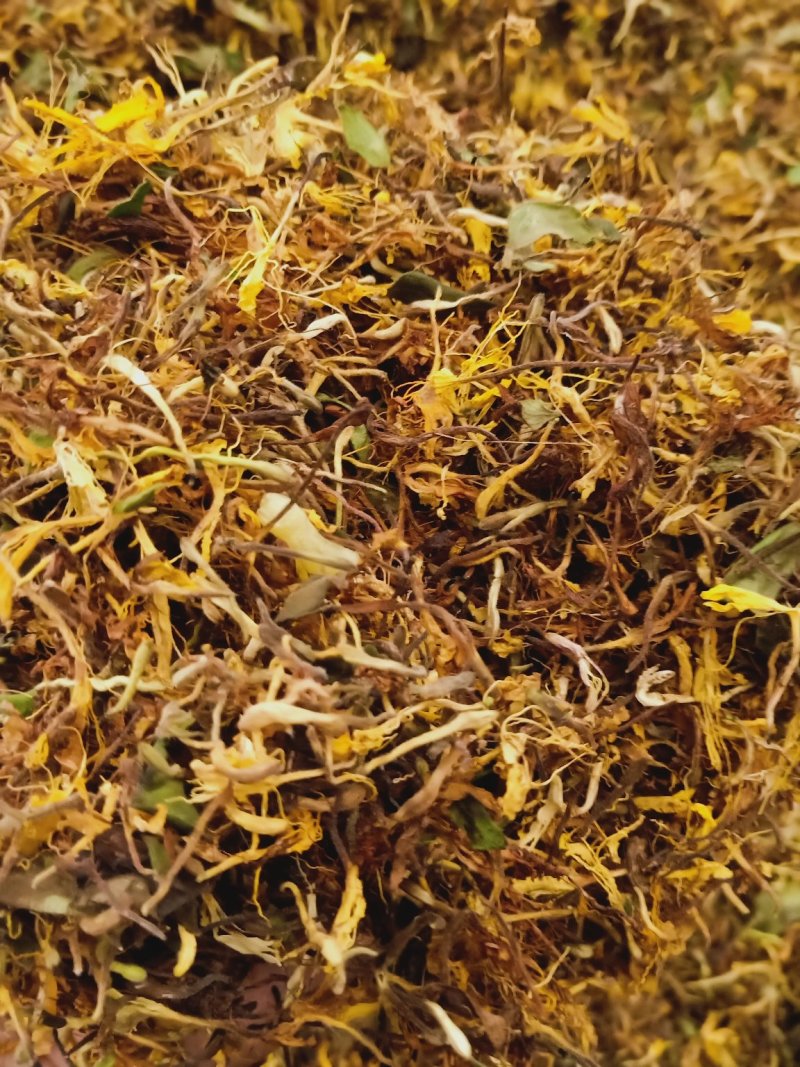 烘干野生金银花