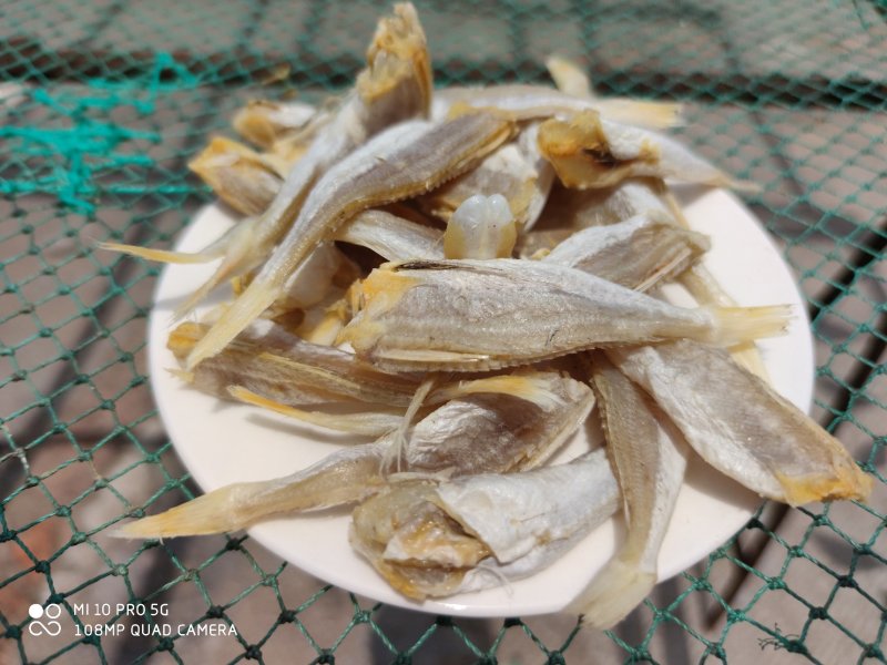 北海特产红娘鱼玉角六角头小鱼干北部湾海鲜晒场直接出货