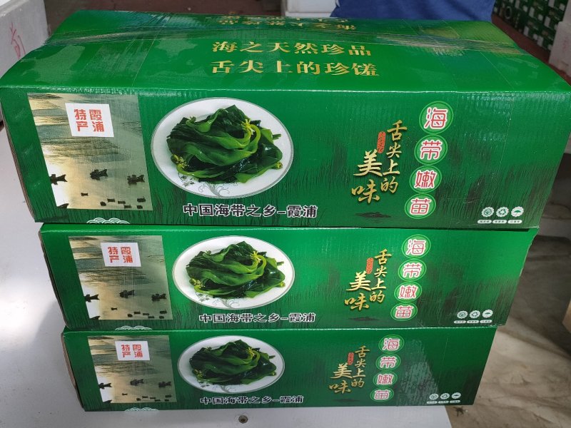 霞浦原产地海带嫩苗，产地直发，纯一手货源