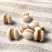 薏仁薏仁米农家薏仁薏仁米农家薏仁米熬粥打粉豆浆包邮