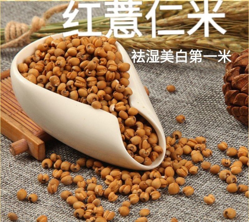 薏仁薏仁米农家薏仁薏仁米农家薏仁米熬粥打粉豆浆包邮