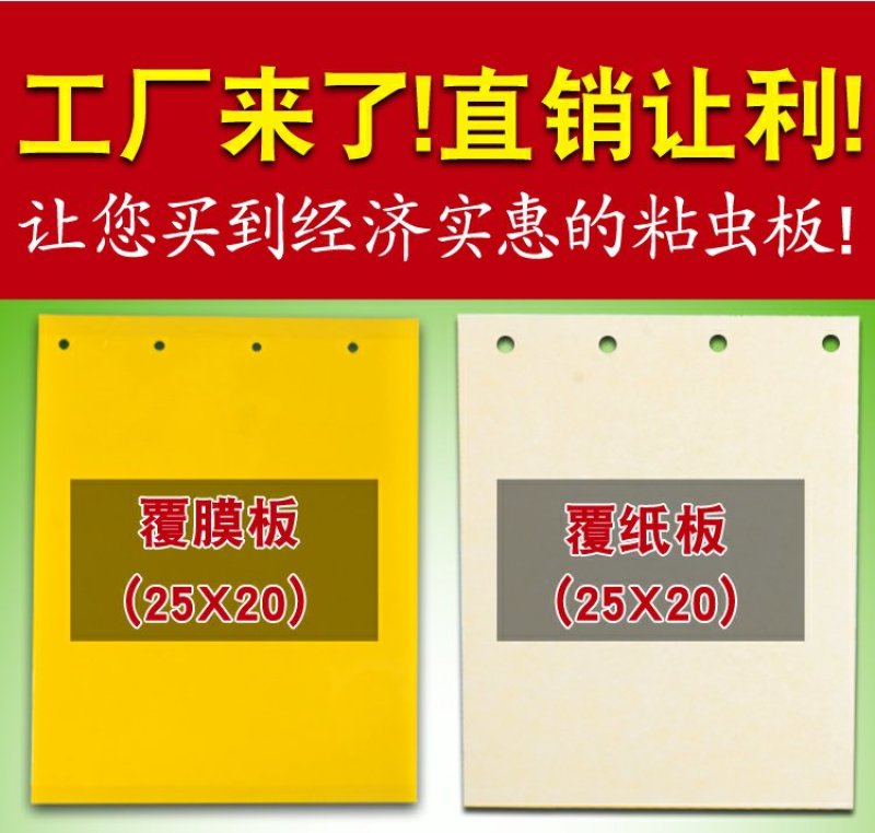 100张双面粘虫板黄板蓝板诱虫板黏沾灭杀各种飞虫包邮到家