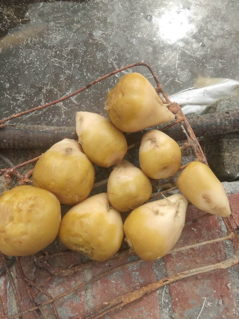 高盐芥菜