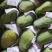 缅甸新鲜小香芒果