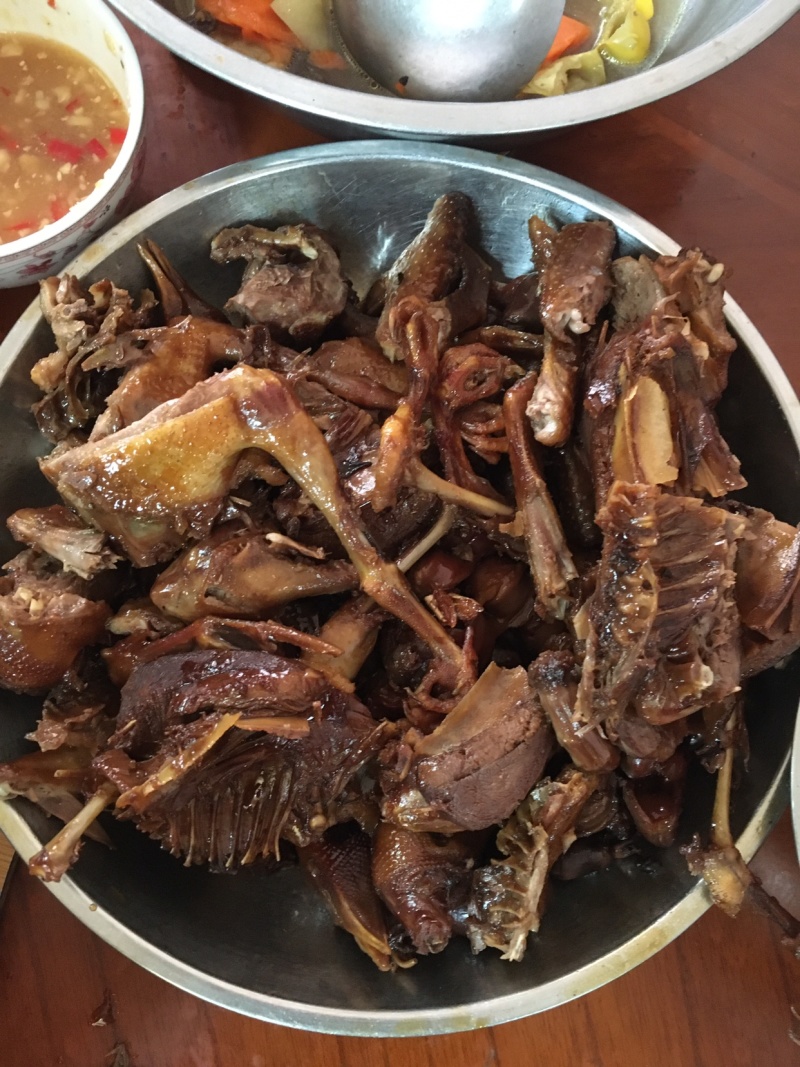 冰冻乳鸽新鲜靓鸽现宰现寄量多包邮
