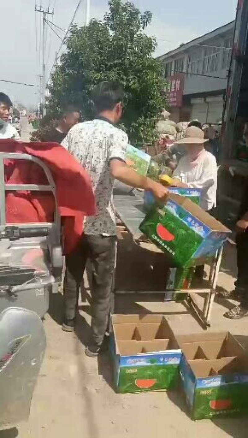 8424西瓜无嫁接一万五千斤起批，