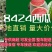 美都西瓜一茬瓜熟度好一万五千斤起批，