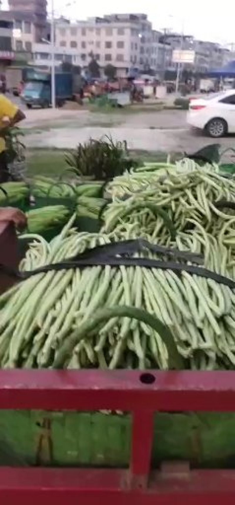 苦瓜大量上市中货好新鲜还有茄子豆角节瓜等