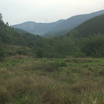 山地出租